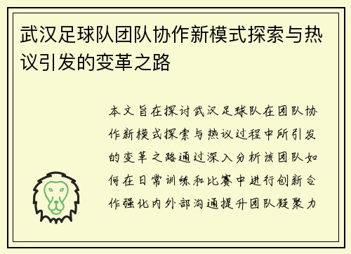 武汉足球队团队协作新模式探索与热议引发的变革之路