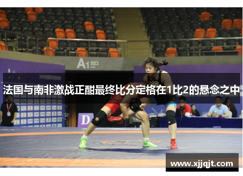 法国与南非激战正酣最终比分定格在1比2的悬念之中