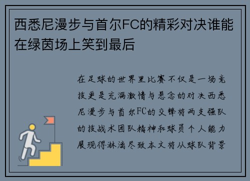 西悉尼漫步与首尔FC的精彩对决谁能在绿茵场上笑到最后