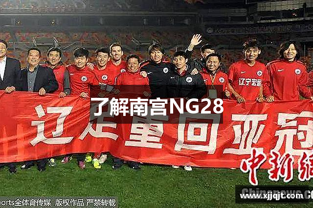 了解南宫NG28